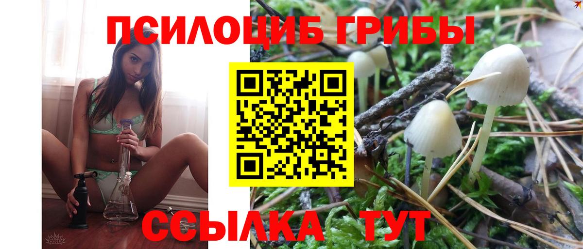Галлюциногенные грибы прущие грибы Анжеро-Судженск