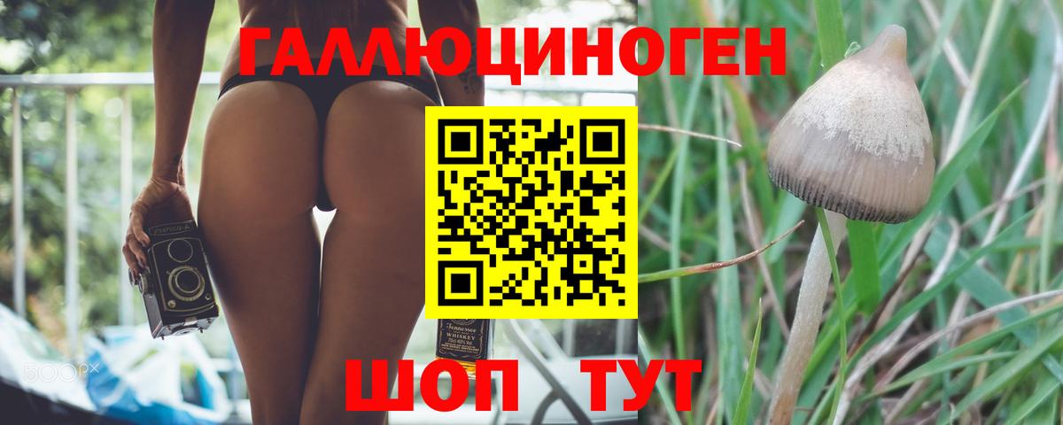 Галлюциногенные грибы GOLDEN TEACHER  Псилоцибиновые грибы прущие грибы  Вход с VPN  Анжеро-Судженск 